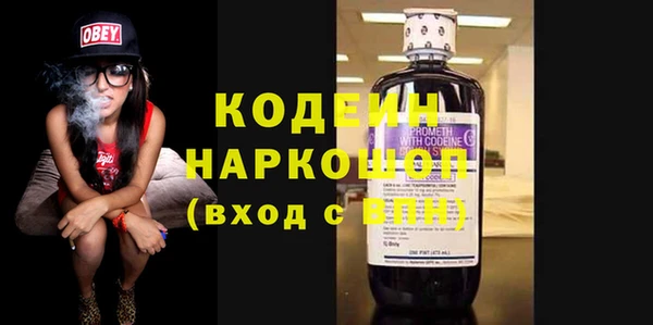 стаф Новозыбков