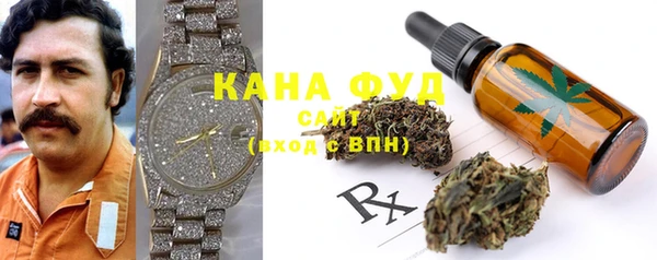 стаф Новозыбков