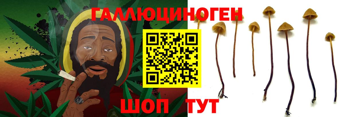 Галлюциногенные грибы MAGIC MUSHROOMS  Псилоцибиновые грибы мицелий  Зеленодольск  Вход с VPN 